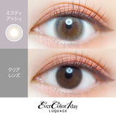 EverColor 1 Day LUQUAGE Misty Ash Japanese color lenses (10p)